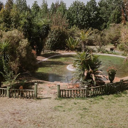 فندق دار ضيافة وايت لينين Tierpoort المظهر الخارجي الصورة